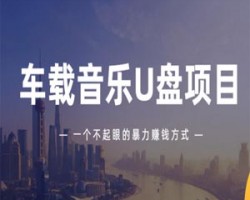不起眼的车载U盘冷门赚钱项目
