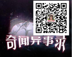 公众号流量主项目，新手一天赚300