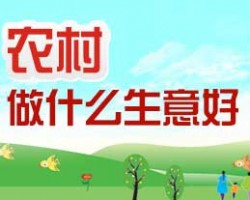适合农村做的偏门小项目