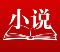 利用短视频做小说分销变现项目