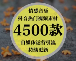 2021抖音素材细分领域赚钱项目