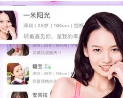 自动聊天挂机项目的独门玩法