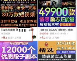 下载视频赚钱（附批量下载工具）