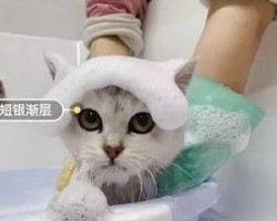闲鱼上玩着就把钱赚了暴利项目