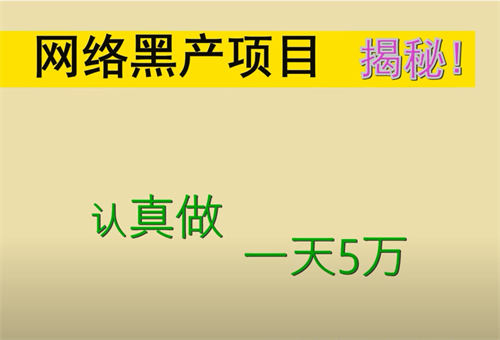 网络黑产揭秘,一天5W的暴利生意 互联网 经验心得 第2张 网络黑产揭秘,一天5W的暴利生意 互联网 经验心得 第2张