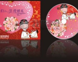 新手赚钱：0成本，高利润，光盘修复项目