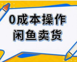 闲鱼无货源项目，第一个月赚5000