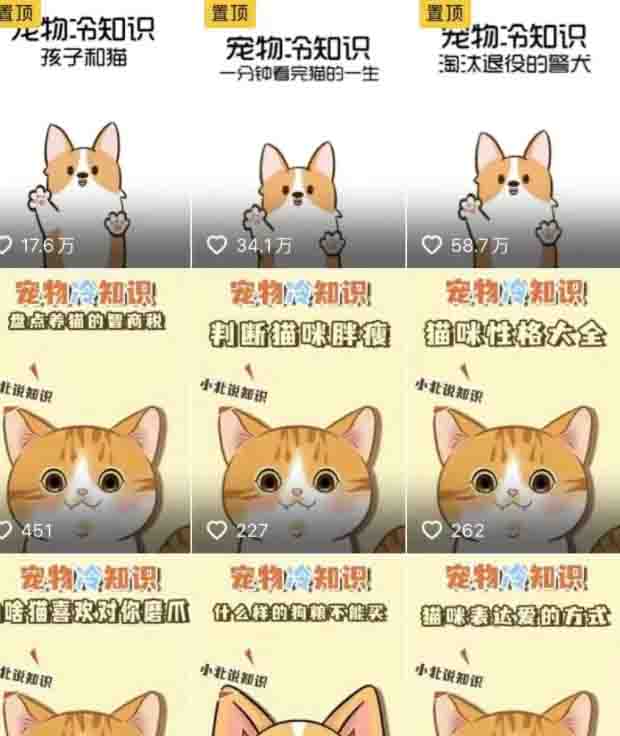 低成本宠物项目,单天利润三五百 流量 网赚 好文分享 第4张 低成本宠物项目,单天利润三五百 流量 网赚 好文分享 第4张