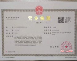 如何0成本快速办理个体户公司营业执照？（办理电商执照教程，无需跑现场）