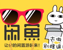闲鱼越来越难做了吗？小白还有机会入局