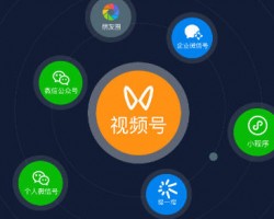 视频号放到微信一级流量入口?