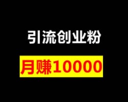 一篇文章讲清楚你们都想要的引流创业粉