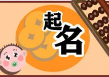 宝宝起名项目，亲测一单298，单号月入1万+（附保姆级教程）