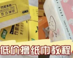 低价撸纸巾项目，独特运营模式
