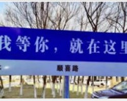 情感图文账号，新手0基础可上手的路牌玩法
