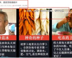 泛流量视频暴利打赏的变现逻辑