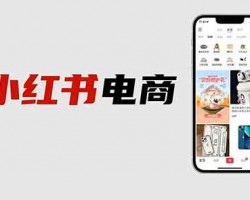 2024年了，谁还在做小红书电商？