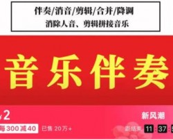 细分领域虚拟项目，音乐伴奏的暴利玩法