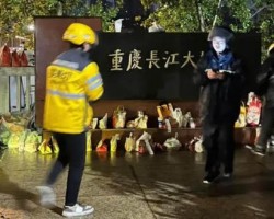 胖猫跳江去世，5个意想不到