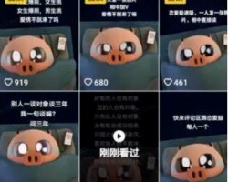 月入过万的网络副业项目——搭子交友