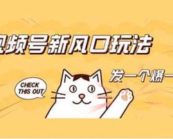 视频号新风口玩法，发一个爆一个，单个作品最高收益1000+