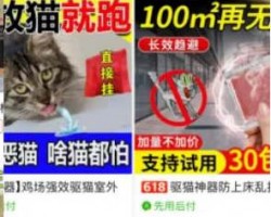 京东赔付项目，听说一单能赚500-1000元