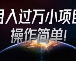 月入过万小项目，操作简单！