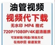 油管视频代下载，一天能出10来单