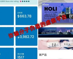 揭秘日赚300+的跨境代运营灰黑色项目套路
