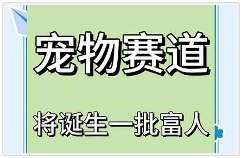 小众宠物赛道爆火，普通人月入3W+的野路子玩法