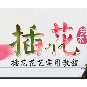 插花视频教程 韩式花艺 花束鲜花包装零基础教学 开店花店自学（94G）