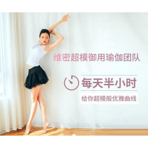 完美身材必备！多套维密天使极速塑型健身美体瑜伽私教课程组合（67G）