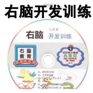 七田真系列课程，包括右脑开发MP4视频和练习手册，迷宫PDF书籍语言启蒙数学