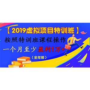 【2019虚拟项目特训班】按照特训班课程操作 一个月至少盈利1万+（全年班）