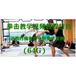 拳击教学视频教程打包，女子防身术，送散打擒拿街头防身术资料（64G）