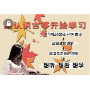 打包超全的袁莎古筝系列0基础入门到高级视频教程，带书带曲(74G)