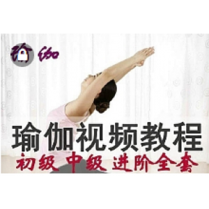 瑜伽视频教程全套，自学初级入门，零基础普拉提健身教学，孕妇产后恢复(58G)