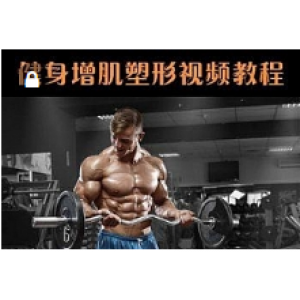 健身 训练计划 全套肌肉视频教程 哑铃健身教程+健身器材视频 宿舍囚徒手（20G）