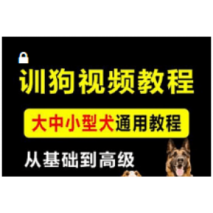 《 训狗教程训犬视频大全》拉多专业训练狗狗定点排便乱叫一点通（14.3G）
