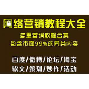 网络营销视频教程，自学网络推广市场营销实战课程（30G）