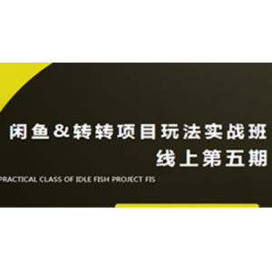 咸鱼项目玩法5.0系列课程，闲鱼项目实战从0到月入1W的新玩法 [资源下载]