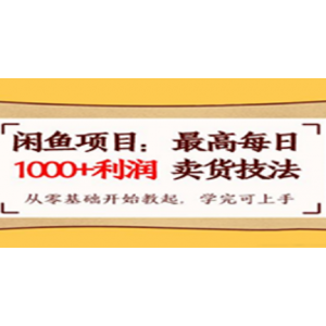 闲鱼项目：最高每日1000+利润卖货技法，从零基础开始教起，学完即可上手