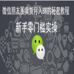 微信朋友圈卖货月入8W的秘密教程，30天训练营，新手零门槛实操