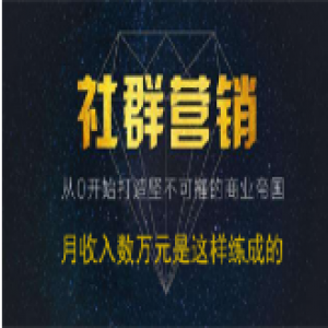 《社群系列实操课》课程：月收入数万元是这样练成的