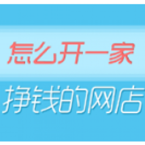 零基础月赚10万的网店秘笈