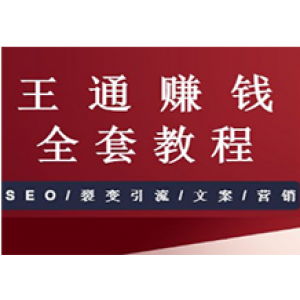 王通赚钱全套教程（赚钱项目/SEO/裂变引流/文案/营销）【33GB资源下载】