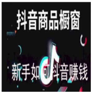 抖音最新新手实战操作教程，快速寻上热门和变现方式（共14节视频）