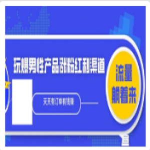 玩爆男性产品涨粉红利渠道！流量躺着来！！天天有订单有钱赚（更新至第5课）
