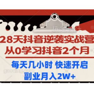 28天抖音逆袭实战营，从0学习抖音2个月，每天几小时 快速开启副业月入2W+