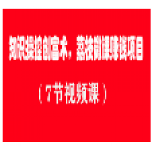 知识操控创富术，荔枝微课赚钱项目（7节视频课）